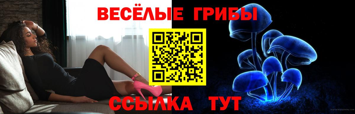 Галлюциногенные грибы Cubensis  Вход с VPN  Псилоцибиновые грибы мухоморы  Видное 